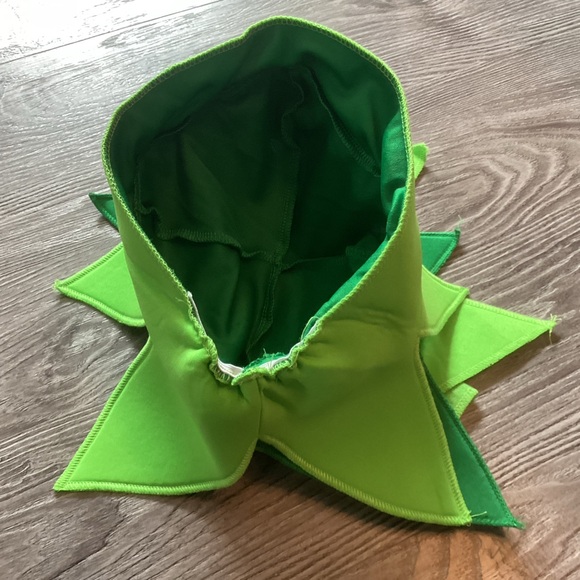 Pineapple Costume - Picture 4 of 5